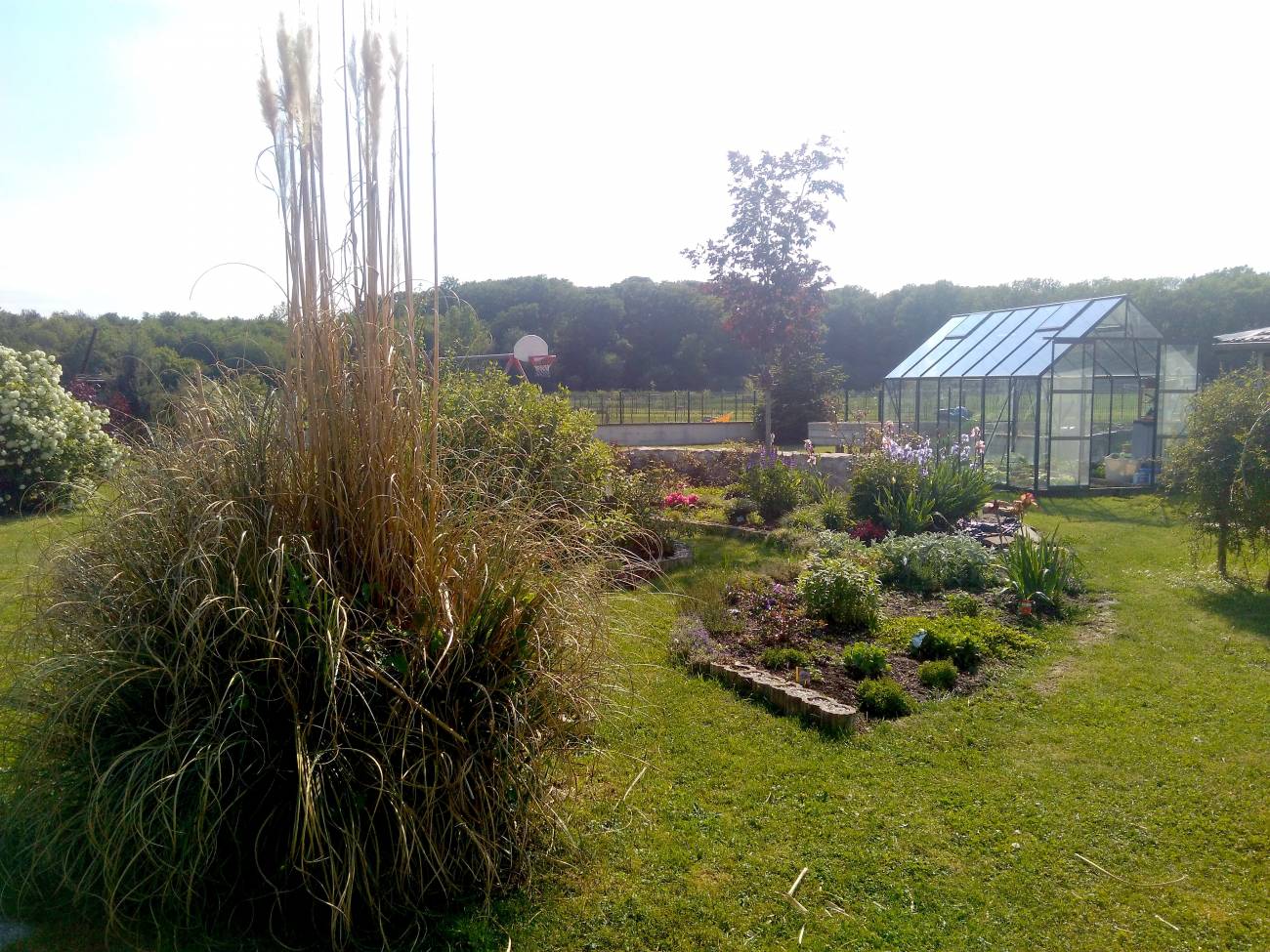 IMG_20180516_165841 | Au Jardin de la Coline Travaux d’aménagement paysager à Mirecourt dans les Vosges Contrexéville 8