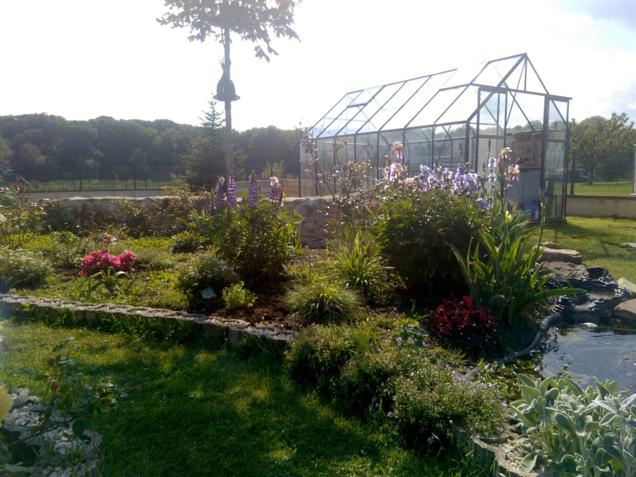 IMG_20180516_170110 | Au Jardin de la Coline Massifs Thaon-les-Vosges 6