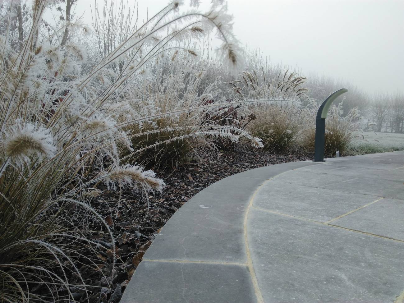 IMG_20181212_111820 | Au Jardin de la Coline Massifs Contrexéville 26