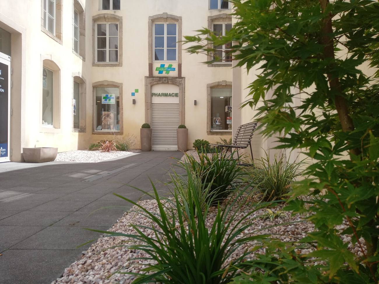 MASSIF DE PLANTATION | Au Jardin de la Coline Travaux d’aménagement paysager à Mirecourt dans les Vosges Golbey 3