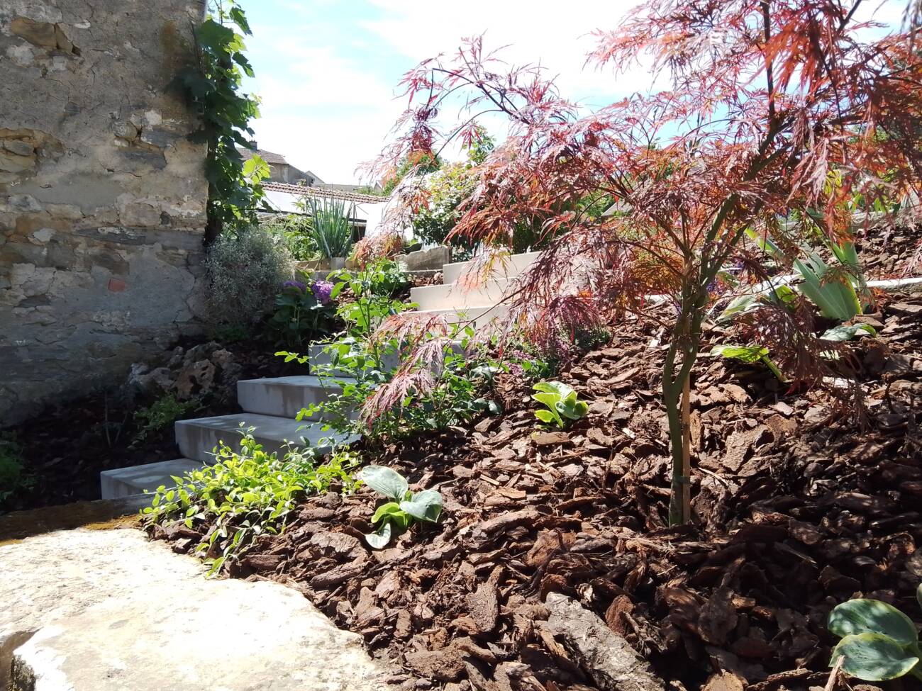 IMG_20230613_121430_662 | Au Jardin de la Coline Travaux d’aménagement paysager à Mirecourt dans les Vosges Vittel