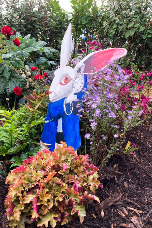 LAPIN BLANC 500X750 | Au Jardin de la Coline Conseil et coaching jardin à Mirecourt dans les Vosges Blainville-sur-l'Eau 0