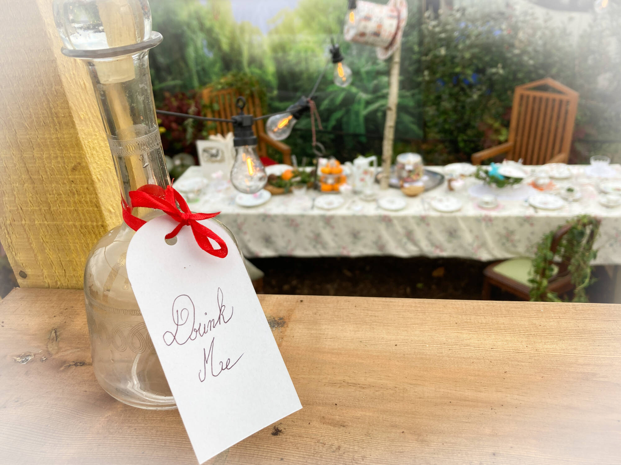 DRINK ME 2 | Au Jardin de la Coline Manifestations commerciales Épinal 7