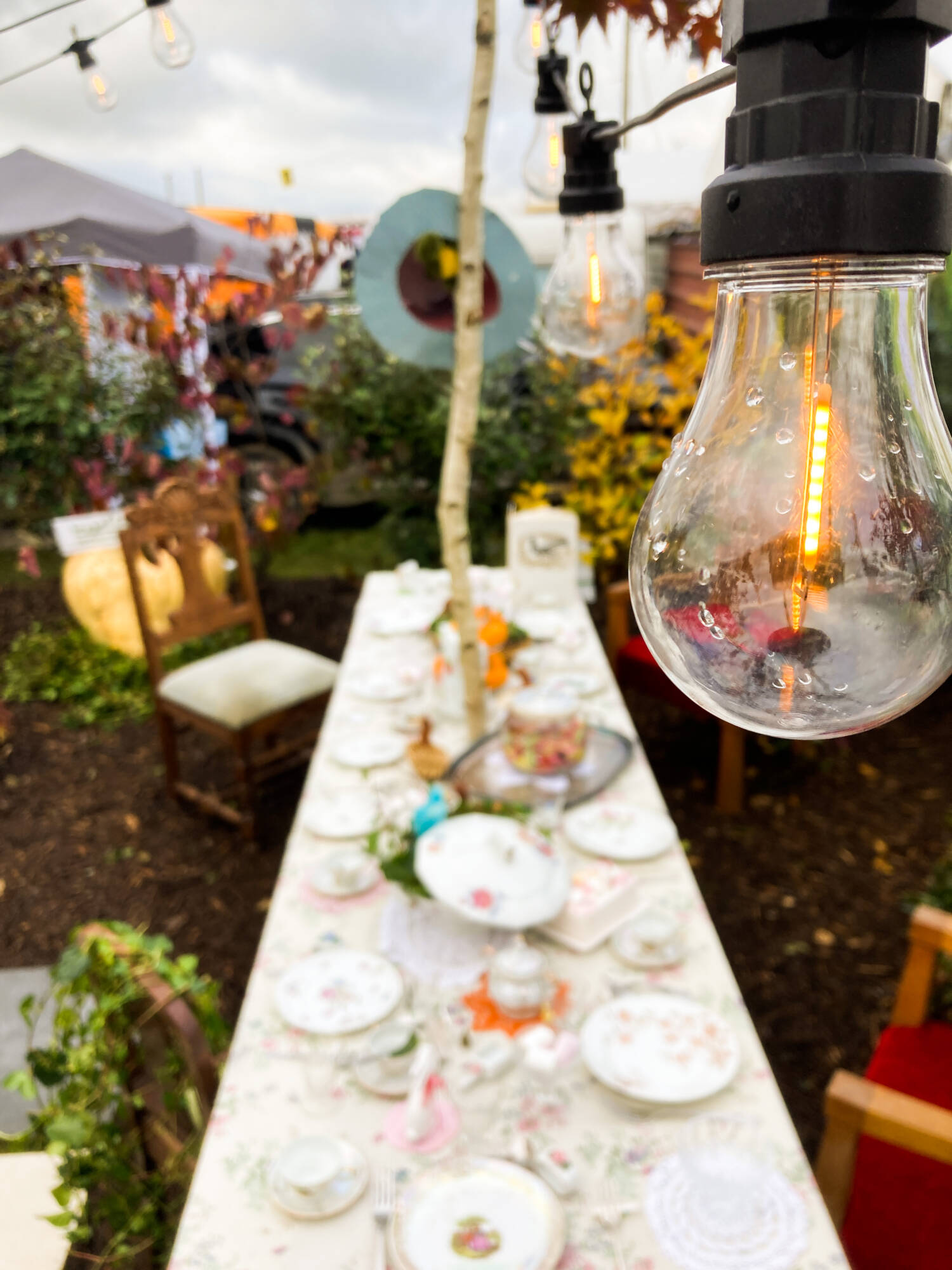 FOIRE DE POUSSAY 2024 OBJECTIFS PAYSAGE | Au Jardin de la Coline Manifestations commerciales Charmes 4